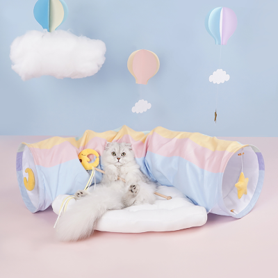 Pet Toys & Accessories